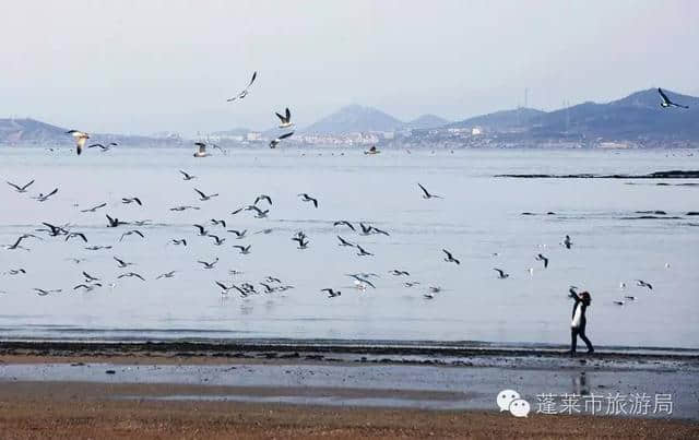 仙境蓬莱入选全国重点生态旅游目的地名单