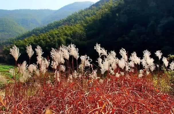 去江苏旅游，除了夫子庙和周庄，这五个景点同样值得一去！