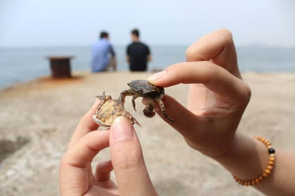 两日 止锚湾 品饕餮海鲜大餐 漫步原生态海滩 摸螃蟹捡贝壳