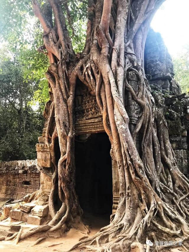 欣赏柬埔寨吴哥窟的美景，这些注意事项要提早知道