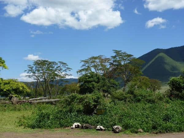 ［旅行分享20］2011非洲坦桑尼亚自由行：风景和动物篇