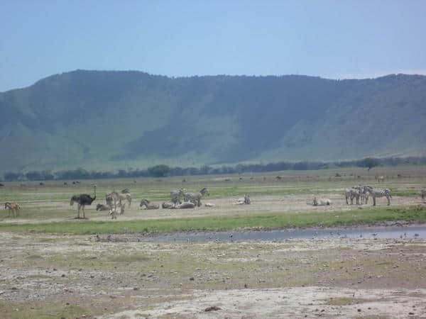 ［旅行分享20］2011非洲坦桑尼亚自由行：风景和动物篇