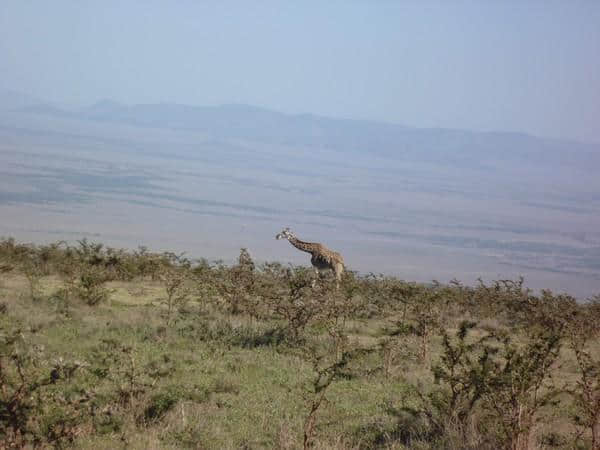 ［旅行分享20］2011非洲坦桑尼亚自由行：风景和动物篇