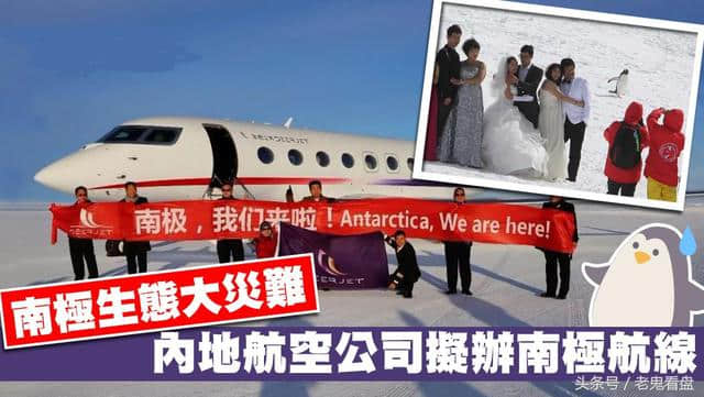 内地游客玩南极追逐企鹅拍婚纱照玩自拍遭批