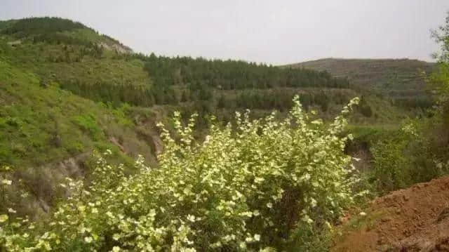 自驾必备！太原藏了这么多爬山的好地方！看风景、锻炼身体两不误