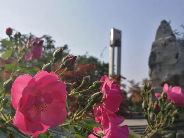 南京旅游最不能错过的免费4A景区是它