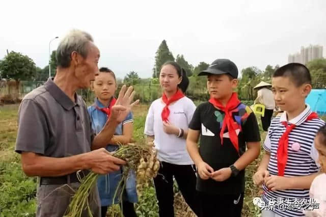 5·19中国旅游日，泰安一大波免费、打折景点来袭！