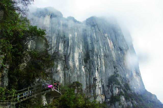 去湖北恩施旅游，这几个景点值得一去，看看你们去过几个呢？