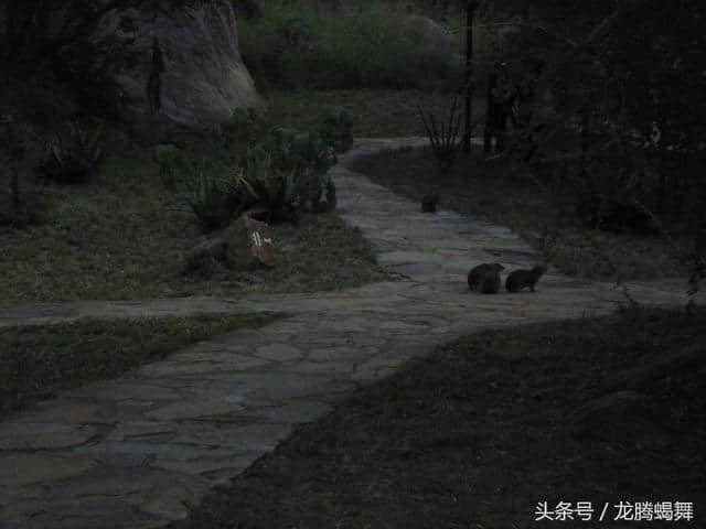 ［旅行分享23］非洲坦桑尼亚自由行：住宿和风土人情篇