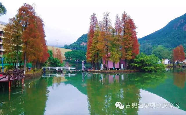 江门十佳旅游目的地小镇，一步一风景！