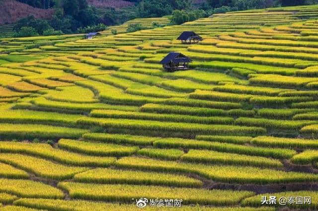 7月泰国旅游指南新鲜出炉