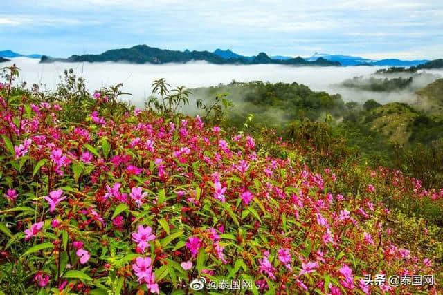 7月泰国旅游指南新鲜出炉