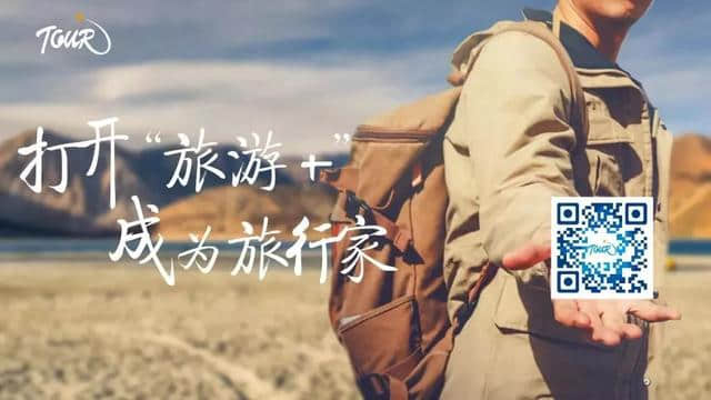 一周旅游信息精选｜12月第三周