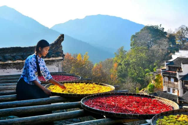 江西秋天醉美4大景色，婺源上榜，第一个很纯净