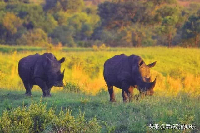 有生之年，一定要去次南非