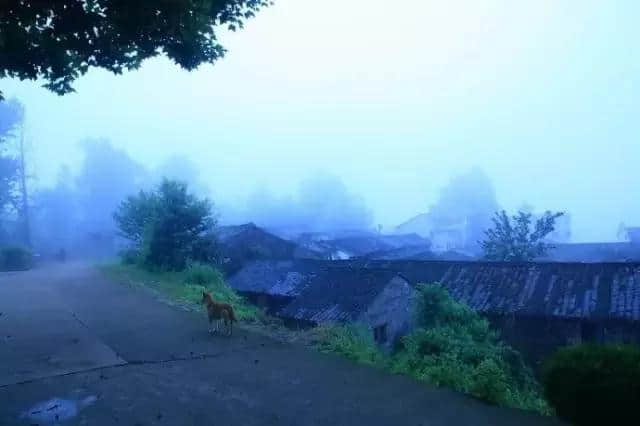 在浙江，有一个宫崎骏童话中的“天空之城”