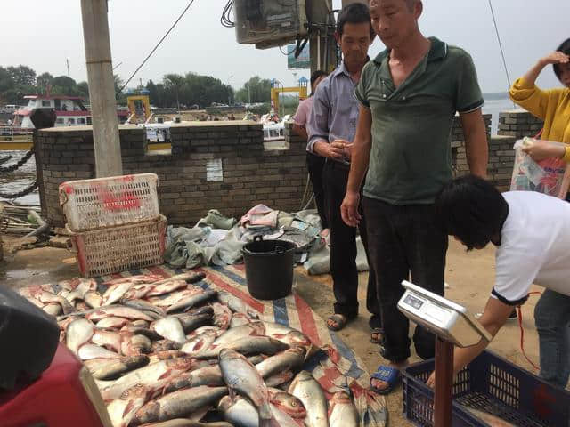 9月24日，湖北鄂州梁子湖，一个即将逝去的旅游捕鱼节！