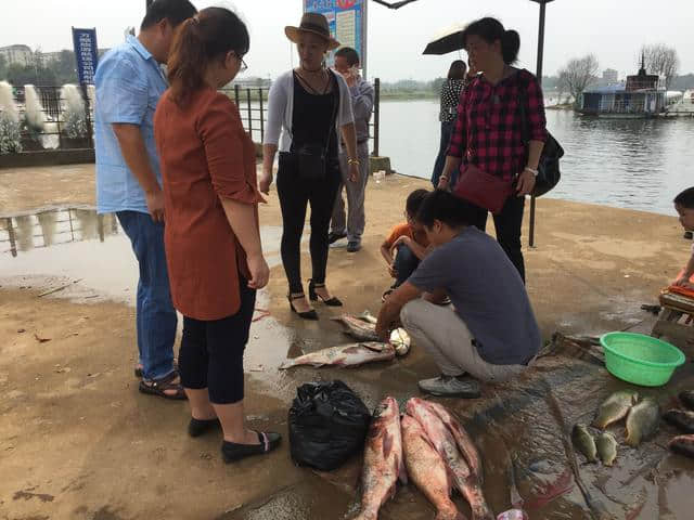 9月24日，湖北鄂州梁子湖，一个即将逝去的旅游捕鱼节！