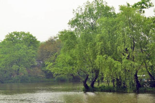 江南旅游，扬州最值得一去，冠绝江南水乡之首