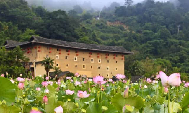 美如仙境！夏夜的土楼不止有星空，还有萤火虫！