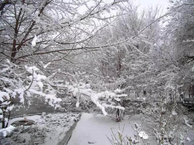 二连浩特的春夏秋冬