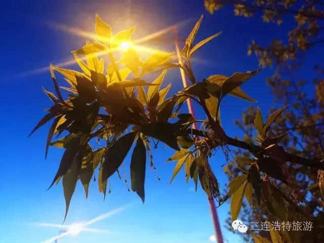 二连浩特的春夏秋冬