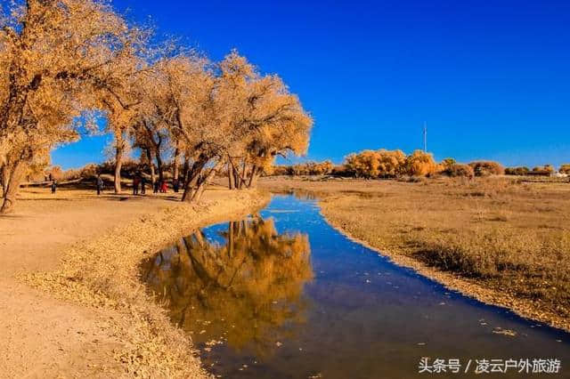 秋天，我在额济纳旗找到你