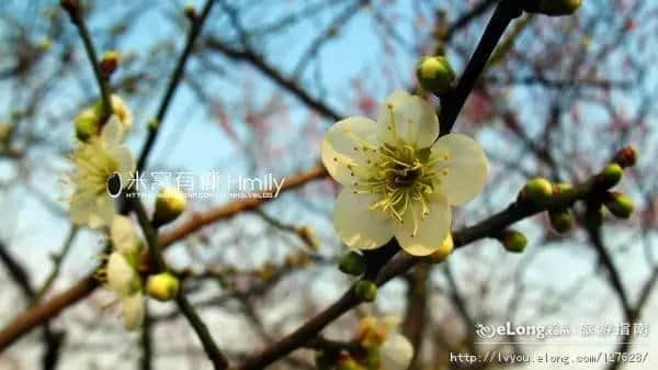 南京47家景点免费开放日，快来耍！