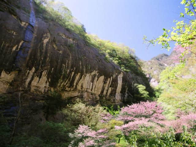 只为遇见最美的你，太白山、红河谷景区”女神节”优惠来袭！