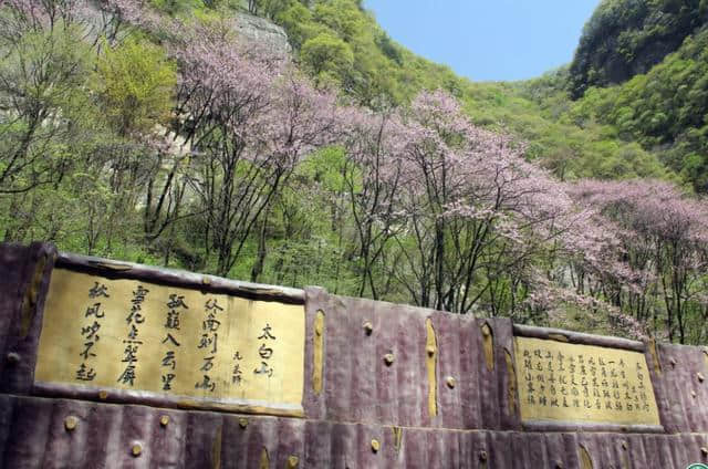 只为遇见最美的你，太白山、红河谷景区”女神节”优惠来袭！