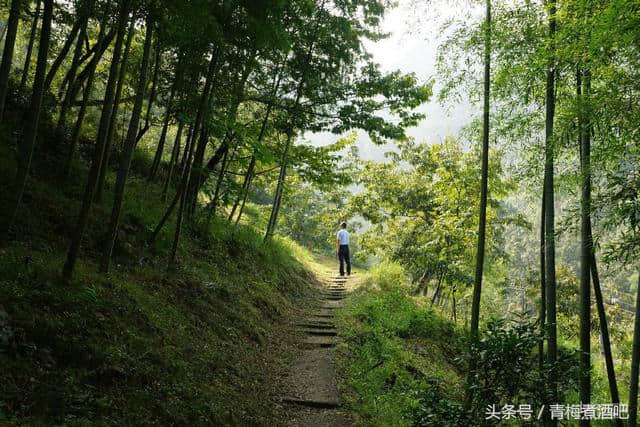 多姿多彩的浙西大峡谷，美丽桃花溪自驾游记！