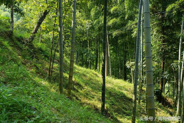 多姿多彩的浙西大峡谷，美丽桃花溪自驾游记！