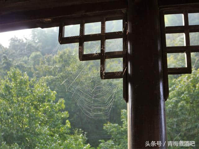 多姿多彩的浙西大峡谷，美丽桃花溪自驾游记！