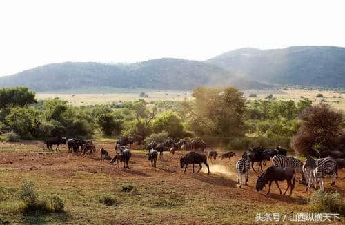 太原到南非、开普敦、开普半岛、比邻斯堡、太阳城八日游