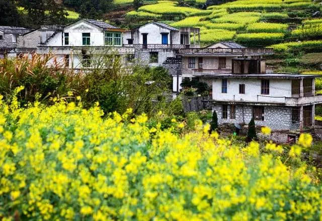 百岛旅游提示您：太阳不规矩，旅游何处去？