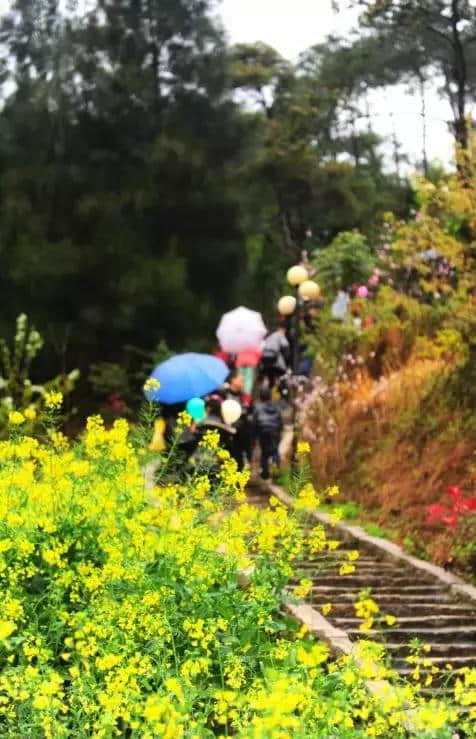 百岛旅游提示您：太阳不规矩，旅游何处去？