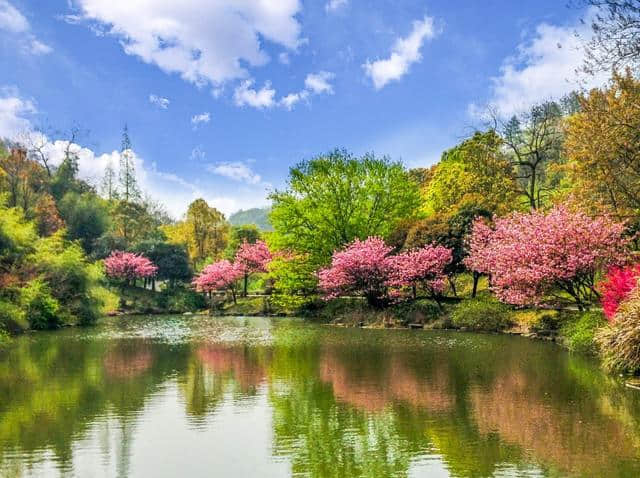 这可能是史上最全的浙江赏花地图