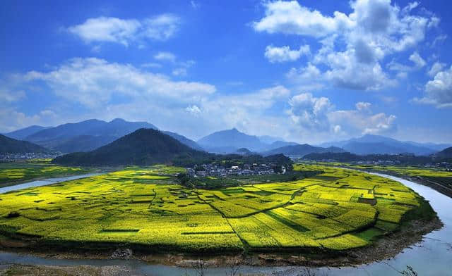 这可能是史上最全的浙江赏花地图