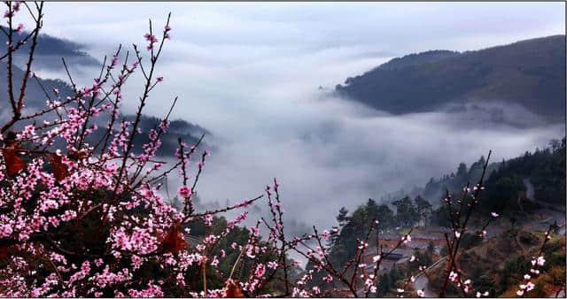 这可能是史上最全的浙江赏花地图