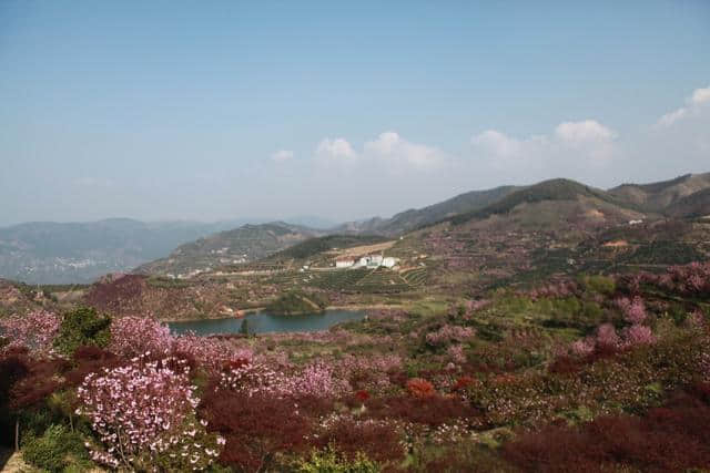 这可能是史上最全的浙江赏花地图