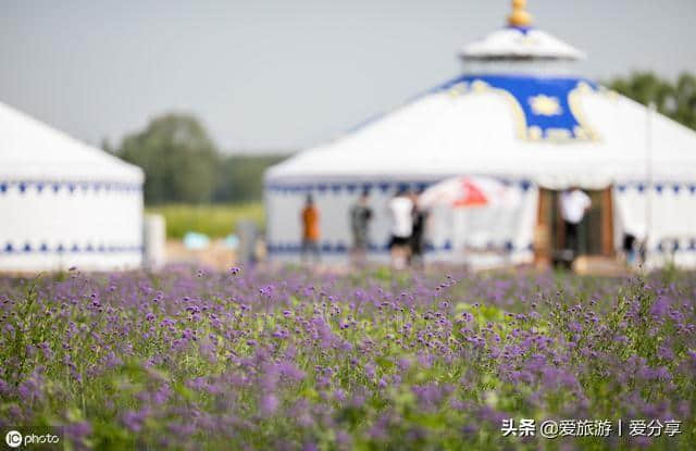 呼和浩特草原旅游小攻略