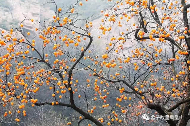 「惠民旅游」济宁市民看过来！最全的景区免费名单出炉，旅游惠民无极限