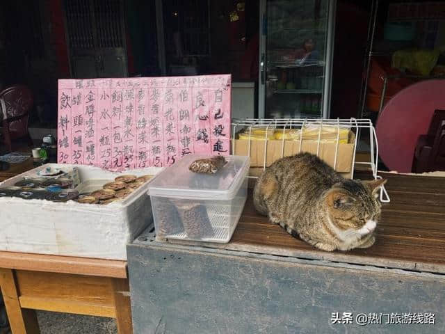 【台湾猴峒】漫步猫村，铁道风光。