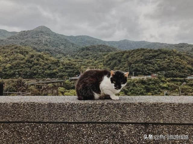 【台湾猴峒】漫步猫村，铁道风光。