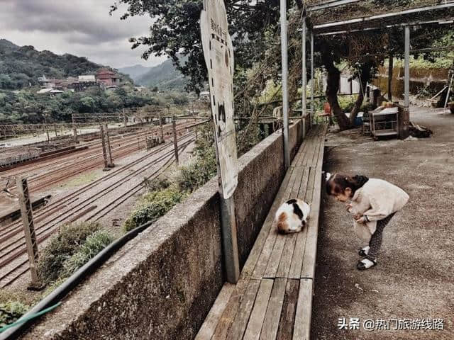 【台湾猴峒】漫步猫村，铁道风光。