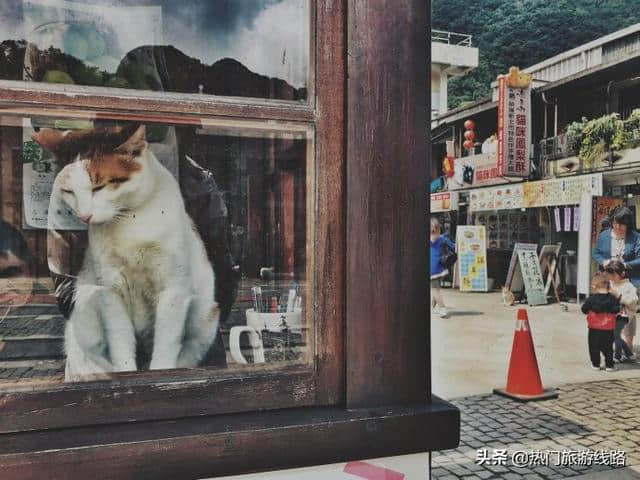 【台湾猴峒】漫步猫村，铁道风光。