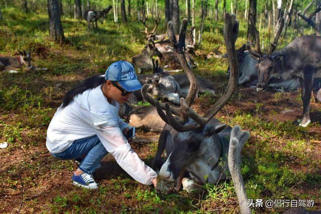 天津出发环游内蒙大草原（五）呼伦贝尔旅游路线规划及食宿概况