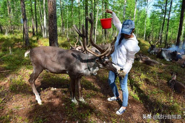 天津出发环游内蒙大草原（五）呼伦贝尔旅游路线规划及食宿概况