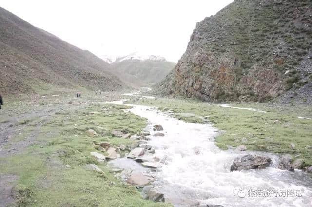 西藏旅行，那曲比如县，冬虫夏草采挖全体验