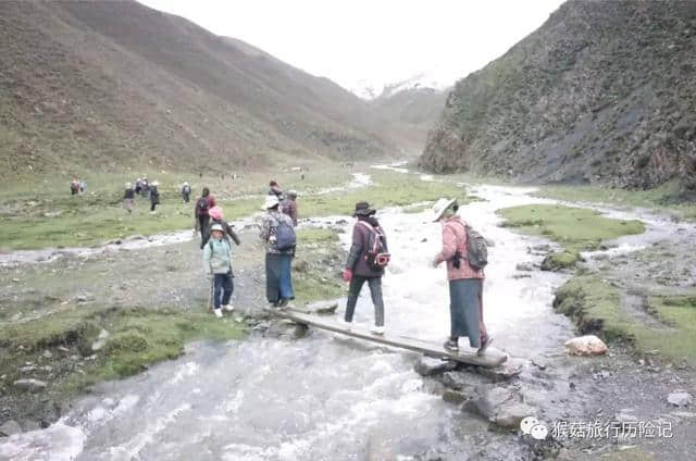 西藏旅行，那曲比如县，冬虫夏草采挖全体验